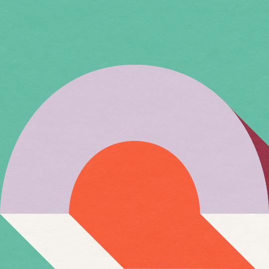 Public Exhibition of Governance policies